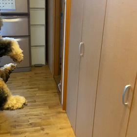 壁ドン❗️の画像