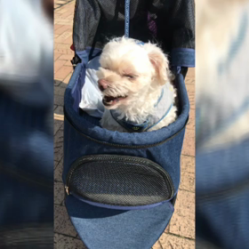 いつ・何が起こっても。の画像