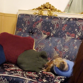 乳がん検診再検査の画像