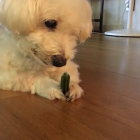 BTS 방탄소년단  Twitterの画像