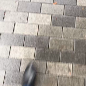 またまた雨↓↓の画像