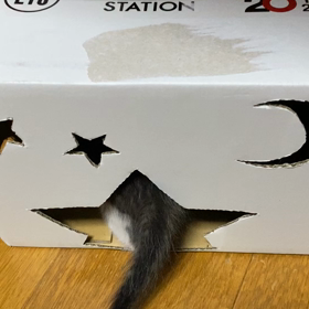 せいちょうきろく。の画像