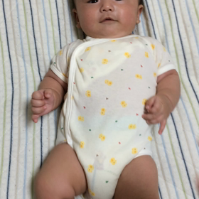 いっぽんばしの画像