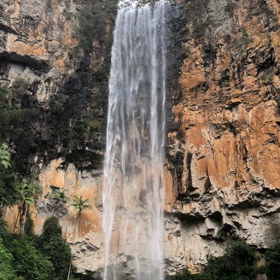 ヒーリングの画像