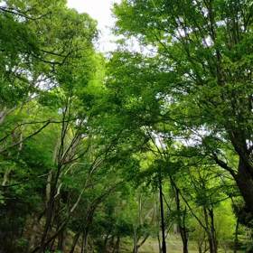早いな　梅雨に入ってたの画像