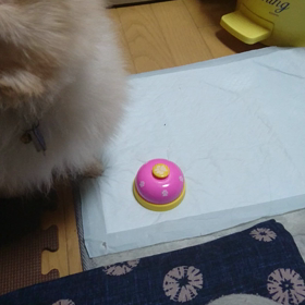 桜さんの新技の画像