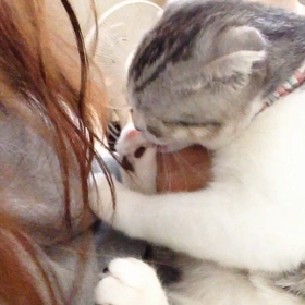 自撮りデビューの画像