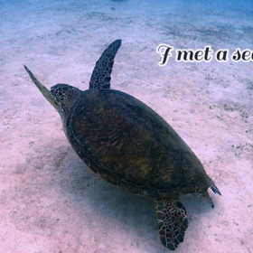 もしもーし♪♬の画像