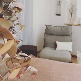 【今日は島music♪】の画像