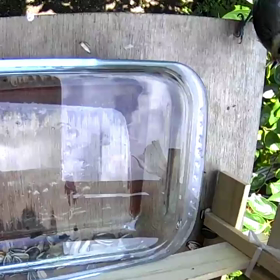 すぎぴたんの事件簿シーズン2　329話（暑そうなヤマガラ）の画像