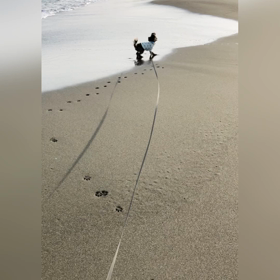 ②サザンビーチちがさき散歩の画像