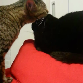 永遠と。の画像