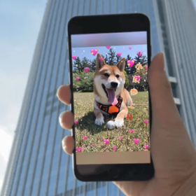 流行りのしてみた‼️の画像