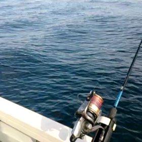 資格取得 おめでとうございますの画像