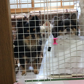 せ〜の(^o^)の画像