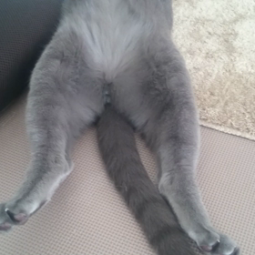 気持ち良さそう✨の画像