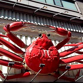 蟹・太郎の画像