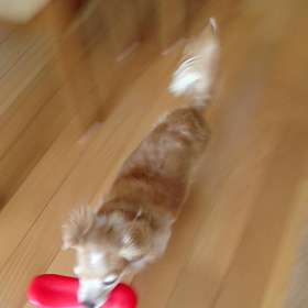 楽しそうの画像