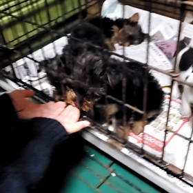 緊急事態宣言解除予定(^ー^)の画像