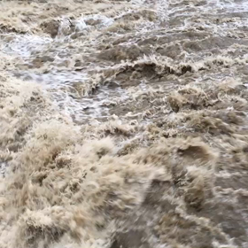 台風が去って。の画像