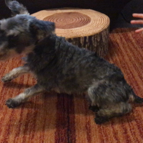 wasabiさんの動画③の画像