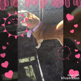 たまみメモリアルの画像