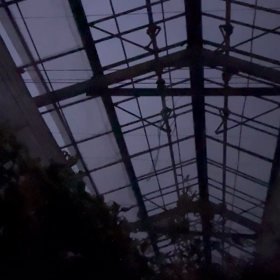 こんばんは^_^の画像