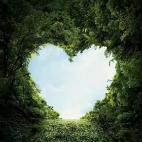 おはよう御座いますの画像