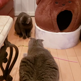 遊びたいけどの画像