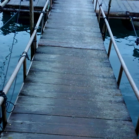 寒波、シツコイの画像