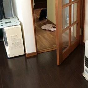 おっと〜もっとおやつ頂戴よ❣️の画像