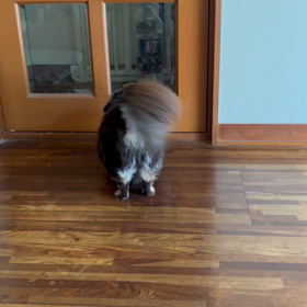 ばっかじゃないのー⁈の画像