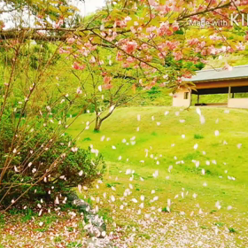 オカリナのある風景「若葉の歌」の画像