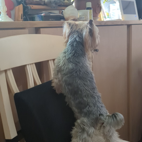 元気でぇーすの画像