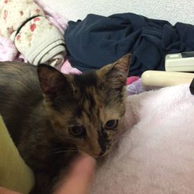 結構痛いの画像