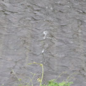 サクッと♪の画像