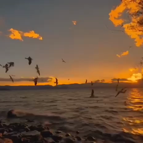 想いは届きます　MissPATRIOTChelsea/60687の画像