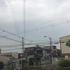 飛んでけ〜〜。の画像