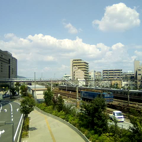 カラシくんがやって来た～ライブ～(^_^)vの画像