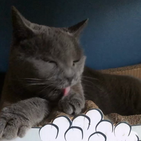 目がきりっとなる瞬間の画像