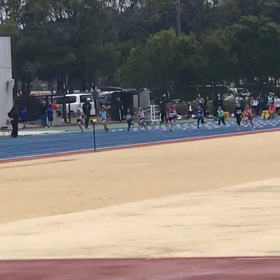 女子100ｍ レース動画⑧の画像