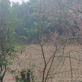 導火線が短いタコちゃん( 一一)の画像