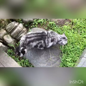 過ごしやすくなりましたの画像