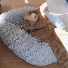 昨日の事　パニックなったの画像