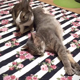 ゆく年くる年♡の画像