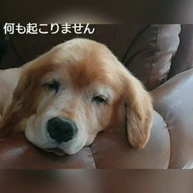 お主、お名前は・・の画像