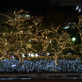 流れ星wwの画像