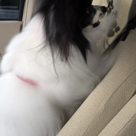 あぁ〜〜(>_<)の画像