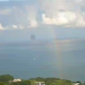 見上げてみようの画像