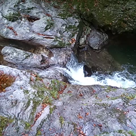 渓谷の水の画像
